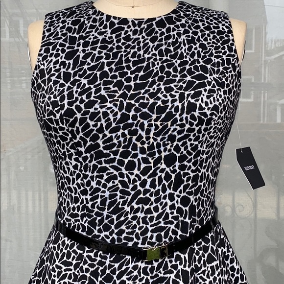 Fit & Flare Belted Dress - Picture 1 of 4